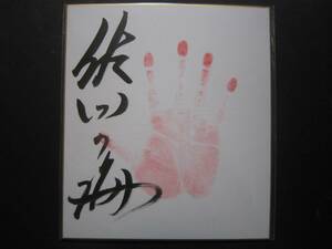 大相撲　佐田の海　前頭　手形　サイン　214