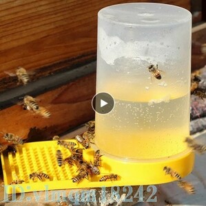 Af1785: Bee 養蜂 ミツバチ 餌箱 水の散水 ツール プラスチックの蜂の餌 ハチ エサ 蜂蜜 蜜蝋 蜂 水 セット ツール 巣箱 ハニー キット