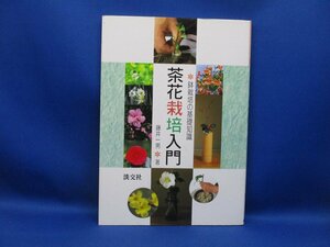 茶花栽培入門　淡交社　古本　鉢栽培の起訴知識　藤井一男　/110307