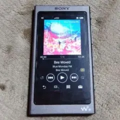 SONY ウォークマン Aシリーズ NW-A45　32GB