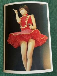 【激レア】　酒井法子　写真　赤ドレス　ミニスカ　太股　もしかして　80年代アイドル 