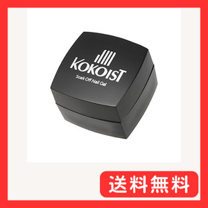 KOKOIST カラージェル E-103 2.5g エンジェルブレス UV/LED対応