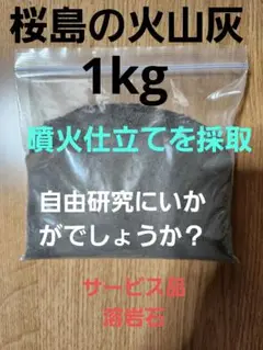 ご購入頂いた後採取☆　鹿児島　桜島　火山灰　約1kg　サービス品付き　自由研究