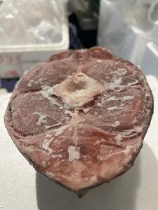 マグロ 尾肉皮付き 約１０kg （1個約1kg）稀少 塩焼き 煮物 からあげ 最高に美味