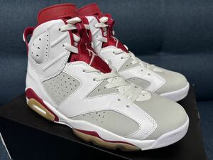 NIKE AIR JORDAN 6 RETRO 113 US11 オルタネート エアジョーダン AJ