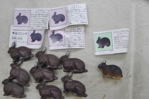 チョコエッグ 日本の動物 ノウサギ等　ウサギ類ばっかり　9個