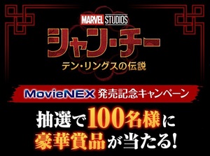 雑貨 ディズニー シャン・チー SHANG-CHI MovieNEX 発売記念キャンペーン USB & パスケース オリジナル・グッズ Aセット 非売品 未開封