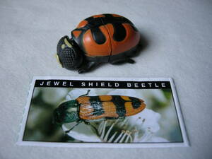 【ヤウイ Yowie　JEWEL SHIELD BEETLE (カブトムシ)】