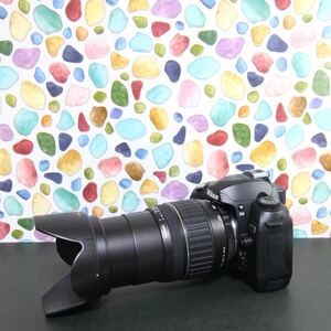 ◇Nikon ニコン D70 ◇近くから遠くまでこなせる豪華ズームレンズセット♪