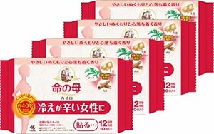 【まとめ買い】 命の母 カイロ 衣類に貼るタイプ ぬくもりとほのかな香りで心落ち着く 10個入×4個