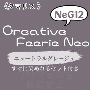 NeG12 ファッションカラー　セット　ショート　メンズ　ヘアカラー ニュートラルグレージュ グレー　ベージュ　ヘアカラー剤　おしゃれ染め