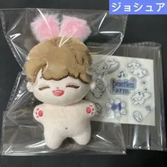 ジョシュア　ぬいぐるみ　10cm 新品　マスター　セブチ　seventeen