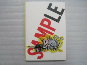ＳＭＡＰ　コンサートツアーパンフレット　 SAMPLE BANG!