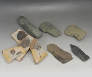 石器　縄文～弥生時代　発掘品　出土品　石棒　石斧　化石