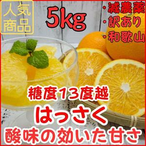 はっさく 訳あり 5㎏ 減農薬 大人気 八朔 和歌山 酸味と甘みがさっぱり