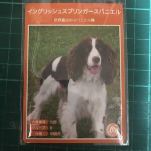 【犬種図鑑カード】 No.084 イングリッシュスプリンガースパニエル
