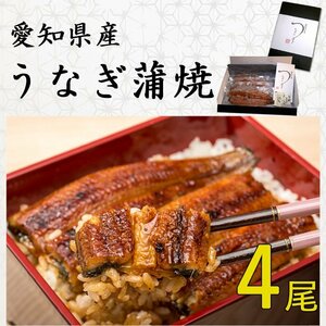 ◆愛知県産 うなぎ 蒲焼 (151g～181g) x 4尾 国産★鰻蒲焼：真空パック・冷凍