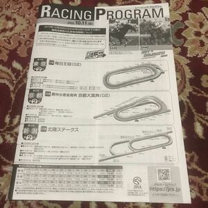 WINS版JRAレーシングプログラム2020.10.11（日）毎日王冠（GⅡ）京都大賞典（GⅡ）北陸ステークス