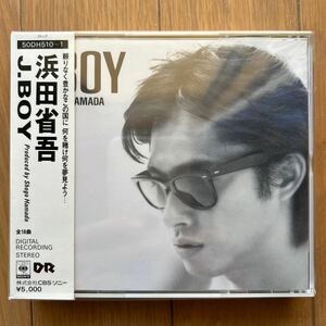 ★ 送料無料　浜田省吾 　箱帯！超美品　J・BOY ２枚組　50DH510～1　1986年★