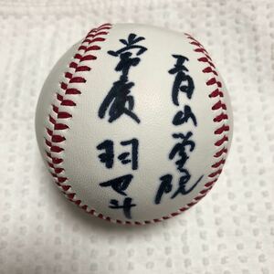 広島東洋カープ　常廣羽也斗　直筆サインボール　ルーキー　新人　統一球　NPB