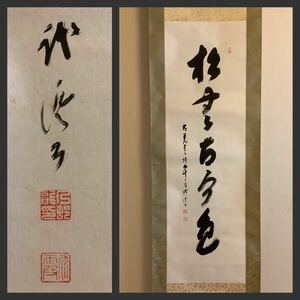 【模写】掛軸Sep540B[乃村龍澄(九霞) 松無古今色]紙本　書いたもの　木箱／仏画　仏教美術　真言宗大覚寺53世門跡