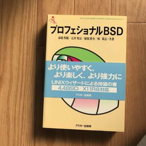 プロフェショナルBSD 砂原秀樹、石井秀治、植原啓介、林周志 著 第1版第11刷