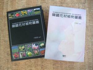 ∞　韓国花材植物図鑑　河順恵、著　PLANTS OF KOREAN FLOWER ARRANGEMENT　=　ハングク・ファジャー・シンマス・トガム　●古書匂有り●