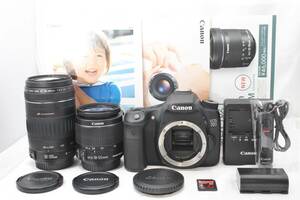 ★【限定！美品 一眼レフスターティングセット SanDisk4GB】 Canon EOS 70D ★ EF-S18-55mm IS II EF90-300mm USM