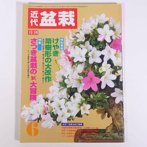 月刊 近代盆栽 No.92 1985/6 近代出版 雑誌 盆栽総合誌 園芸 ガーデニング 植物 特集・けやき・箒樹形の大改作 さつき盆栽の新大冒険 ほか