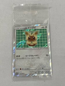 ポンチョを着たイーブイ(リーフィア)(未開封) 142/SM-P ポケモンカード ポケカ