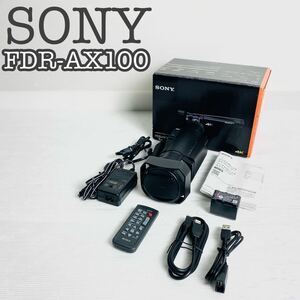 【極美品】SONY ソニー 4K ビデオカメラ FDR-AX100 光学12倍 