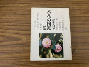 茶花の図鑑 炉編 世界文化社 /A102