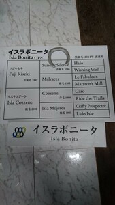 イスラボニータ 血統表 実使用 競馬 ウマ娘 武豊 非売品 チャリティー 蹄鉄