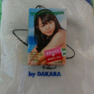 1/6サイズ Tシャツ 1枚 AKB48のミニチュア写真集 峯岸みなみ ドラゴン ホットトイズ ミニチュア フィギア好きの方の向け アイドル