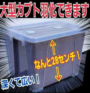 特大ケース入り!プレミアム発酵マット　幼虫を入れるだけ！便利！深い容器なので大型カブトムシ羽化できる！コバエ防止特殊フィルター付き