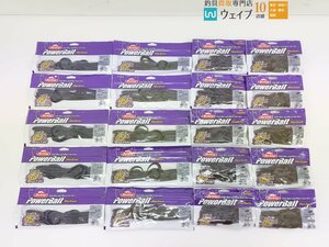 バークレイ パワーベイト マックスセント キングテール 8・クリーチャーホッグ 4 グリパンパープルフレーク 他 計20点 新品