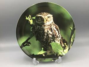 限定品 英国 ウェッジウッド 梟 フクロウ The Night Guardian 皿 絵皿 飾り皿 ⑭*(763)