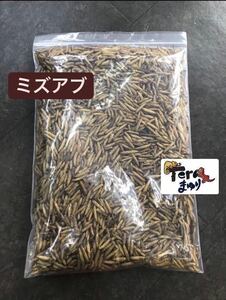 送料無料《乾燥ミズアブ》5kg アメリカミズアブ　フェニックスワーム　バグズプレミアム　小動物　爬虫類、魚類の餌に.