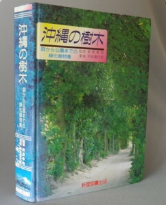 ☆沖縄の樹木　◆庭から公園までの緑化植物集　　（図鑑・琉球・沖縄）