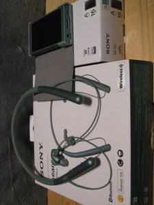 ★美品中古★　SONY ウォークマン Aシリーズ 16GB NW-A45 & h.ear in 2 Wireless WI-H700 専用ケース付き