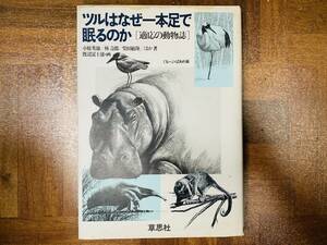 ●小原秀雄・他★ツルはなぜ一本足で眠るのか [適応の動物誌]＊草思社 (単行本)? @ yy7