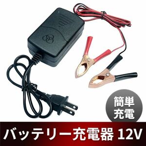 ヒッポクリップ 大型クリップ バッテリー 充電器 チャージャー バイク 12V クリップ バッテリー充電器 オートバイ 自動車 小型 原付 簡易