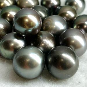 ●南洋黒蝶真珠18点おまとめ●m 50g/250ct 約11.2-13.0mm珠 ルース 裸石 宝石 ジュエリー jewelry Pearl パール k