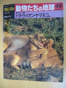 IZ0563 週刊朝日百科 動物たちの地球 49 1992年5月31日発行 トラヤマネコ 北アメリカ 南アメリカ 食肉目 哺乳類 大型ネコ ジャガー 分類表