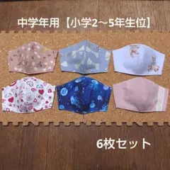 立体型マスク   女の子柄6枚セットＢ【中学年用】ハンドメイド