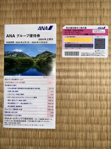 ANA 全日空 株主優待券1枚＋券冊子 1冊