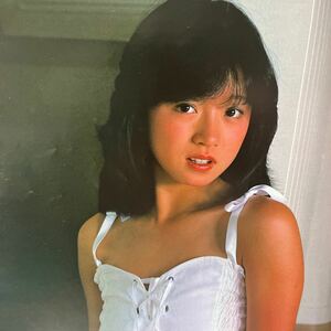 中森明菜　矢沢永吉　ジョン・レノン　沖直美　篠山紀信　藤谷美和子　椎名誠　和田誠　アンドレ・ザ・ジャイアント