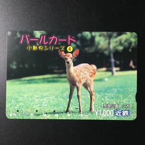 近鉄/シリーズカードー小動物シリーズ4「奈良公園　シカ(子供)」パールカード(使用済スルッとKANSAI)