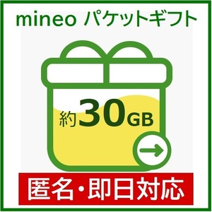匿名・即日対応　パケットギフト　30GB（9999MB×３）　mineo　マイネオ　ギガ　25GB+5GB　20GB+10GB　大容量