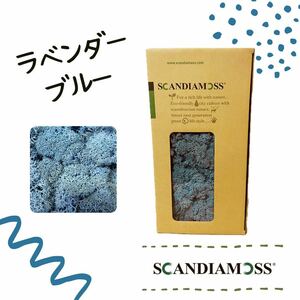 スカンディアモス SCANDIAMOSS ラベンダーブルー 50ｇ ディスプレイ 水色 苔 モス 脱臭効果